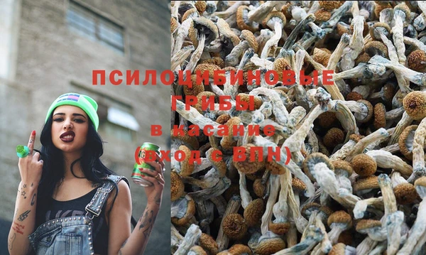 каннабис Баксан