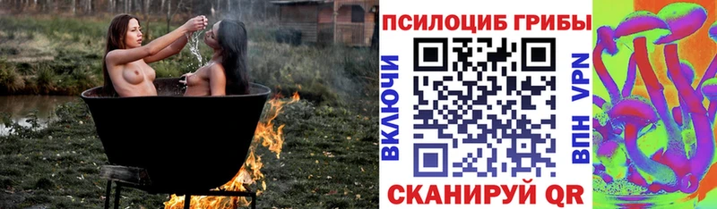 Галлюциногенные грибы мицелий Черняховск